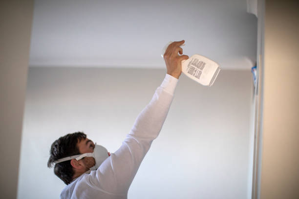 Mold Removal Process in Orwigsburg, PA